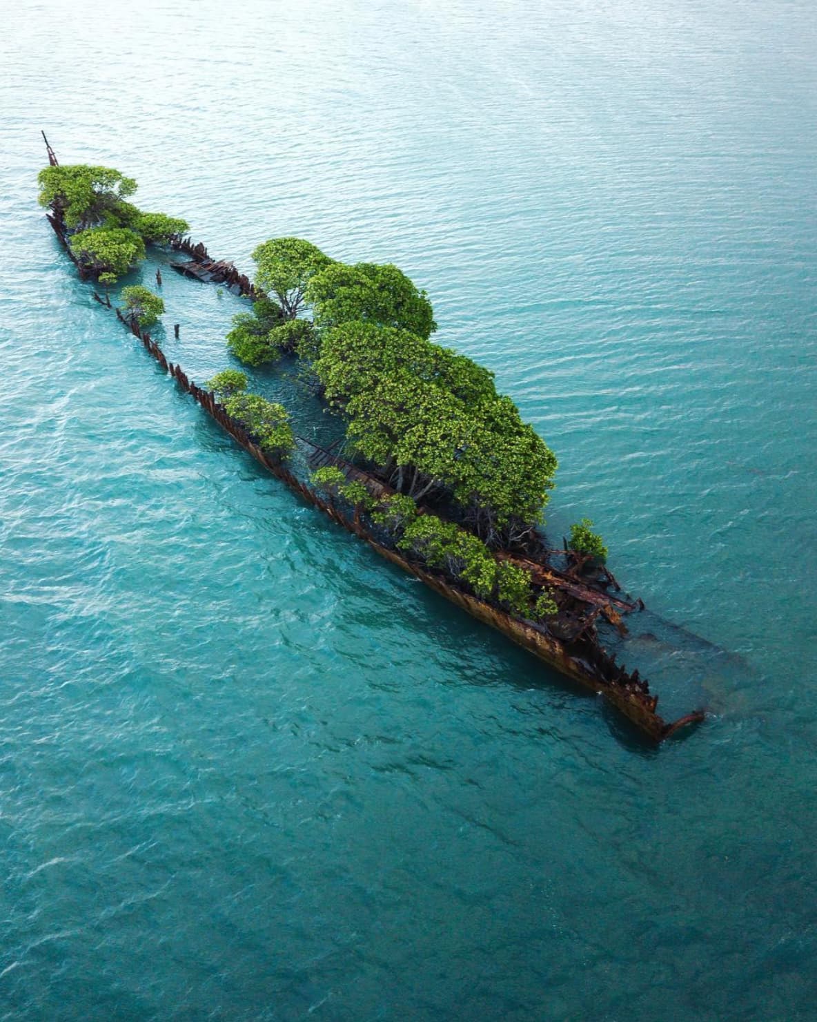 “The remains of SS City of Adelaide.”